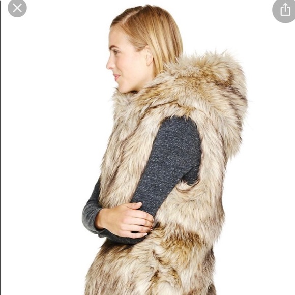Faux fur vest Aritzia - Picture 2 of 5